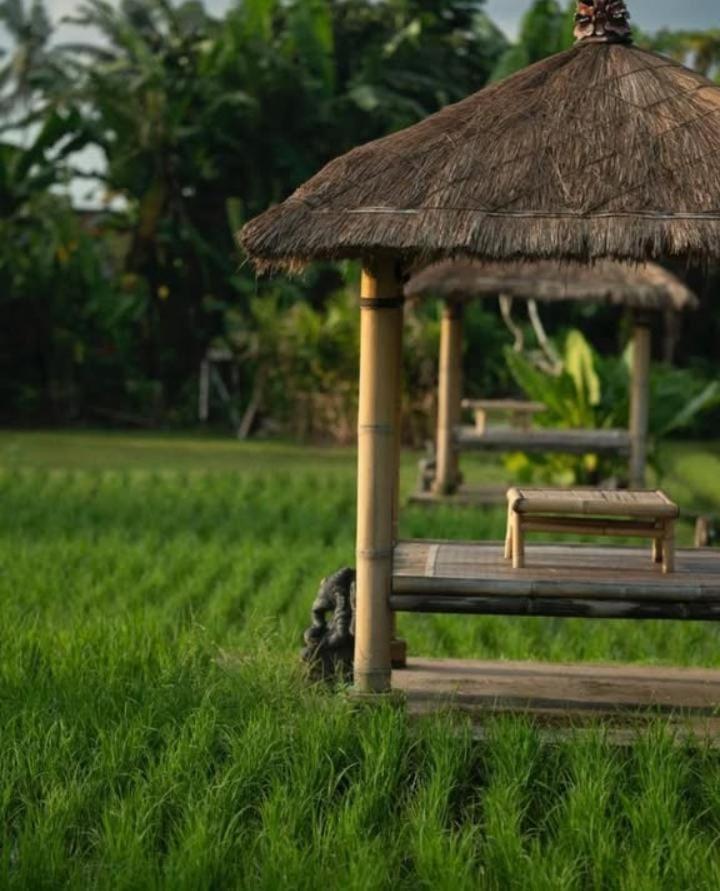 Rumah Kita Ecolodge Ubud  Exterior photo